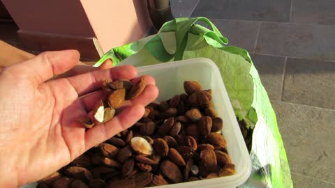 Almonds for free