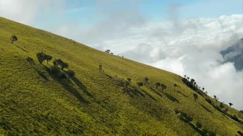 Merbabu Mountain