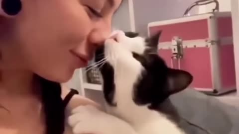 Cat funny 🤣 animal videos 😂...