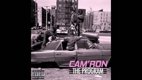 Cam'ron - The Program Mixtape