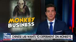 Chinese Company Buying US Land For Monkey Experiments