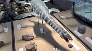 100-million-year-old elasmosaurus found in Australia