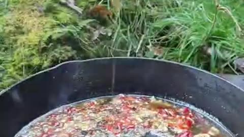 Primitive Cook, Wrapped Salmon Forest Style Survival Skills //Cooking in nature //