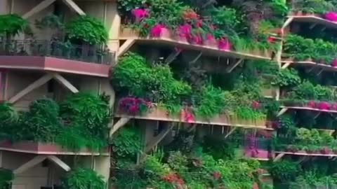 most beautiful building in the worldshorts #shortvideo #shortsfeed