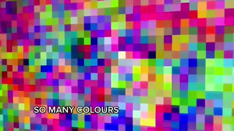 Stunning Website Color Palette | Grainger Webdesign
