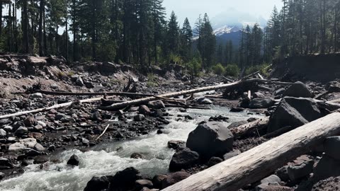 TRULY GORGEOUS & SPECTACULAR Sandy River & Mount Hood! | Ramona Falls | 4K | Timberline | Oregon