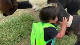 Children and animals,It's soooo cute