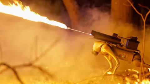 Thermonator: the first-ever flame-throwing quadruped robot dog