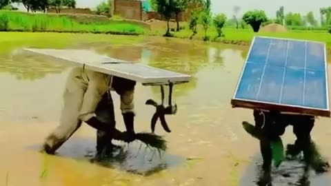 Portable solar powered cooling systems