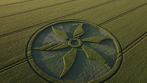 Crop Circles