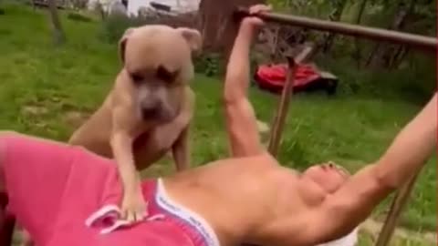 animals - funny dogs 🐶 and other animals that will make you laugh all day long part.1