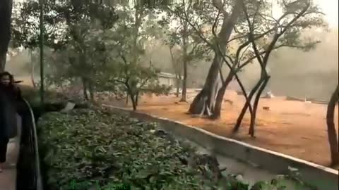 National zoo park delhi# zoo# nzp# Round2fire