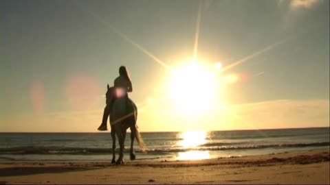 Woman on horse at seashore, walking on sand towards sea