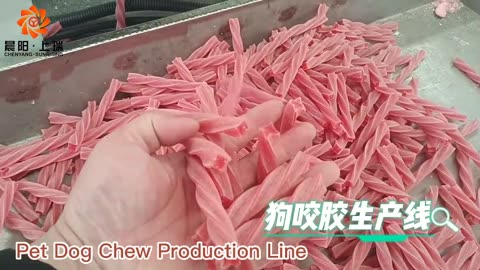 Single Screw Extruder Pet Dog Chew Treats Making Machine Line | Chenyang