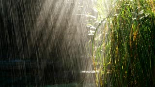 relaxing rain sounds to relieve stress