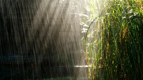 relaxing rain sounds to relieve stress