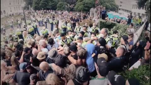 New Zealand Parliament Protest