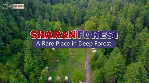 Sharan Timberland | The most well known place of interest The Travelers