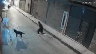 Epic Fail: Guy Tries To Kick Dog