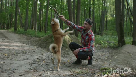 A man is traning his dog with wood