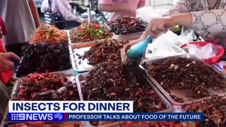 Australian propaganda to normalise the consumption of beetles, cockroaches,and other insects