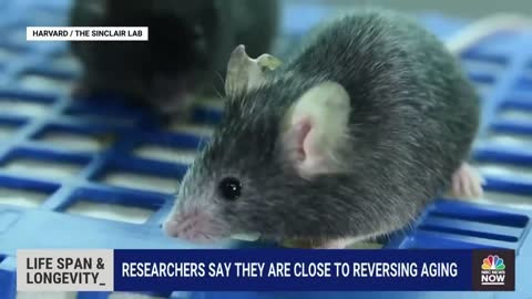 Researchers Say They Are Close To Reversing Aging