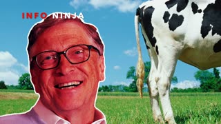 Bill Gates vs Cow Farts