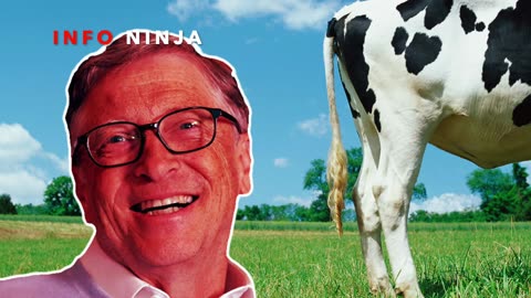 Bill Gates vs Cow Farts