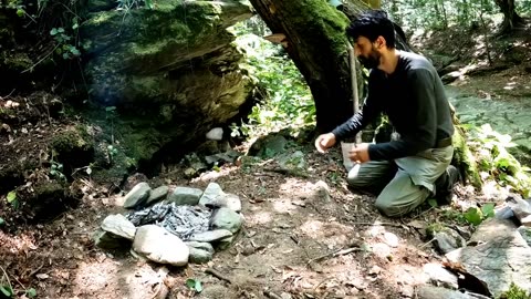 7 Days Solo Survival Camping In Rain Forest, Bushcraft Shelter in The Tree Trunk & Stone Fireplace