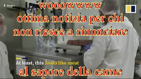 CARNE SINTETICA. SIAMO SICURI CHE SIA VEGETALE?