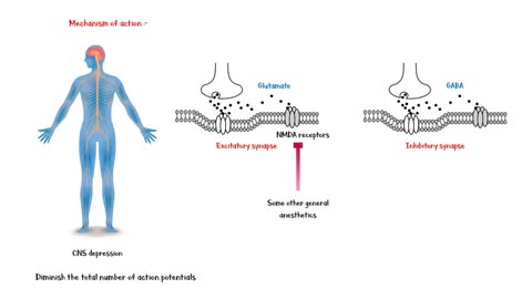 Propofol - Indications, Mechanism Of Action, Pharmacology, Adverse Effects, And Contraindications