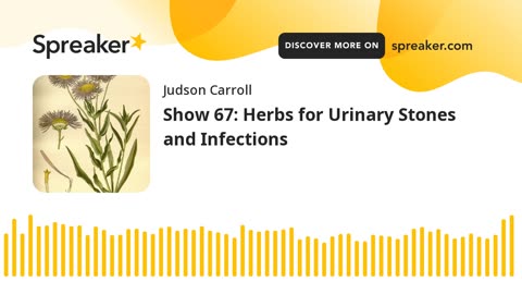Show 67: Herbs for Urinary Stones and Infections