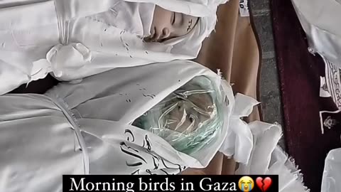 Killed by IDF, Gaza.