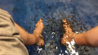 Man tries fish spa for the first time, cant handle the tickle