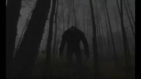 Bigfoot Sighting In Rockingham County, NH