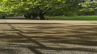 Park in Leicester