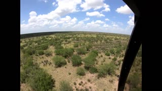 Helicopter Wild Hog Hunt