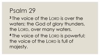 Daily Devotion Psalm 29