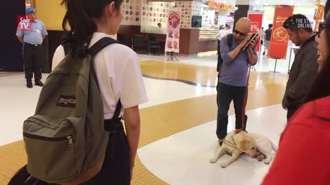 Malaysia's first guide dog may be returned