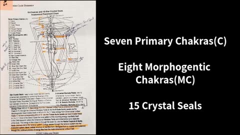 The Silicate Matrix/Crystal Seals/Seed Codes/Fire Codes/DNA 101/Base Codes