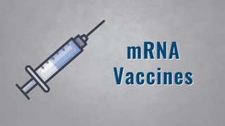 How mRNA Vaccines Work - Simply Explained