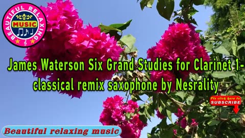 🎵 James Waterson Six Grand Studies for Clarinet 1-classical remix saxophone by Nesrality