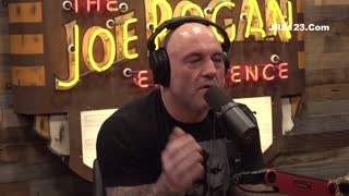 #1880 - Tulsi Gabbard - The Joe Rogan Experience - video Dailymotion