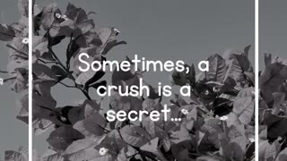 Sometimes, a crush is a secret...