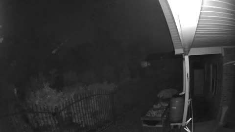 Strange Backyard Security Camera Footage