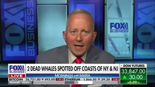 Rep. Jeff Van Drew slams wind turbines after more whale deaths spotted in NJ