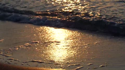 Day at the beach