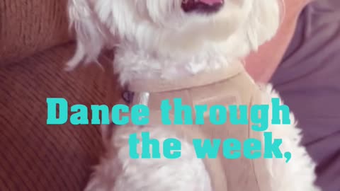 Dance for Weekends!