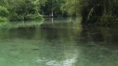 Weeki Wachee River