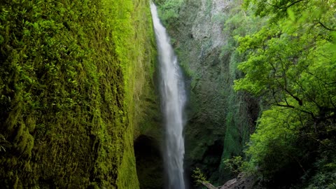 Handheld of hidden Mili Mili misty waterfall falling into natural pond surrounded by dense green veg